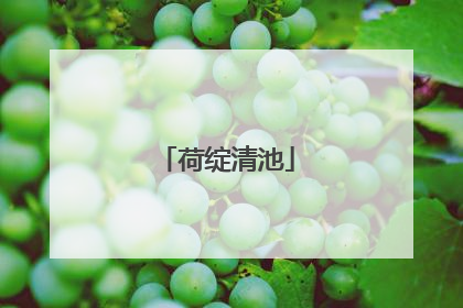 荷绽清池