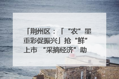 荆州区：「“农”墨重彩促振兴」抢“鲜”上市 “采摘经济”助农“甜蜜增收”