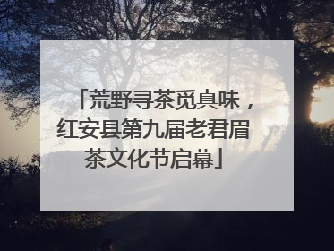 荒野寻茶觅真味，红安县第九届老君眉茶文化节启幕