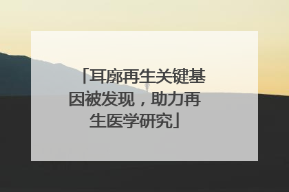 耳廓再生关键基因被发现，助力再生医学研究