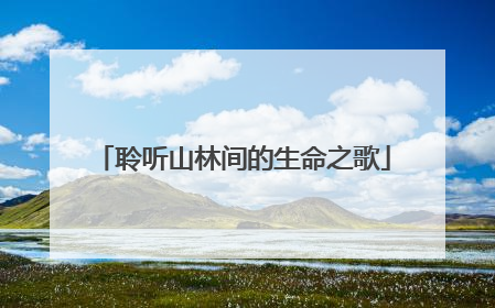 聆听山林间的生命之歌