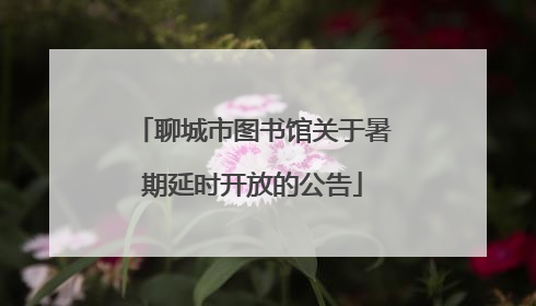 聊城市图书馆关于暑期延时开放的公告