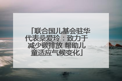 联合国儿基会驻华代表桑爱玲：致力于减少碳排放 帮助儿童适应气候变化
