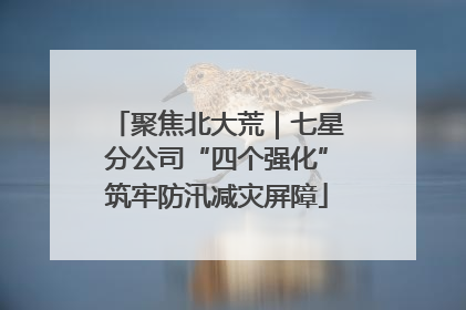 聚焦北大荒｜七星分公司“四个强化”筑牢防汛减灾屏障