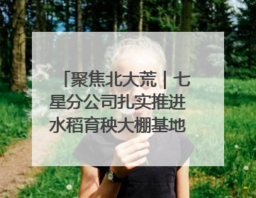聚焦北大荒｜七星分公司扎实推进水稻育秧大棚基地清理整治工作