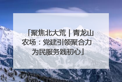 聚焦北大荒｜青龙山农场：党建引领聚合力 为民服务践初心