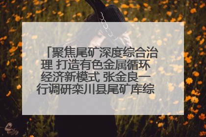 聚焦尾矿深度综合治理 打造有色金属循环经济新模式 张金良一行调研栾川县尾矿库综合治理工作