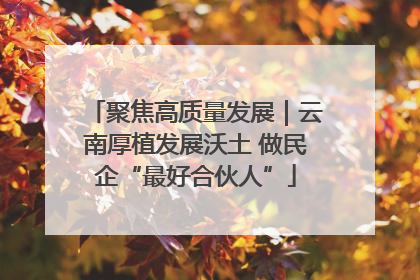 聚焦高质量发展｜云南厚植发展沃土 做民企“最好合伙人”