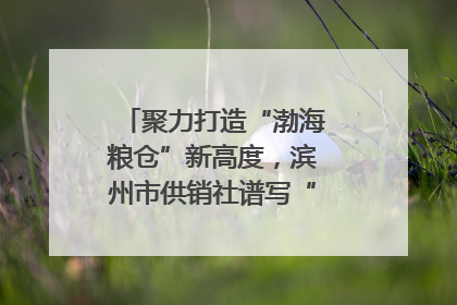 聚力打造“渤海粮仓”新高度，滨州市供销社谱写“三夏”丰收乐章