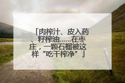 肉榨汁、皮入药、籽榨油……在枣庄，一颗石榴被这样“吃干榨净”