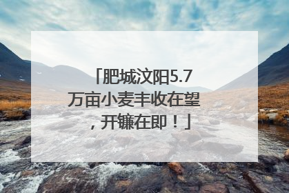 肥城汶阳5.7万亩小麦丰收在望，开镰在即！