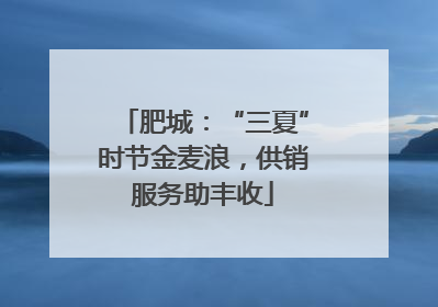肥城：“三夏”时节金麦浪，供销服务助丰收