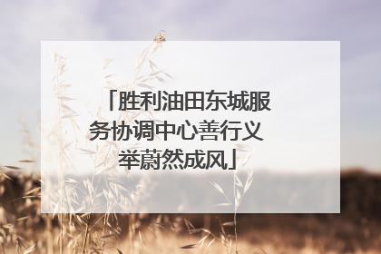 胜利油田东城服务协调中心善行义举蔚然成风
