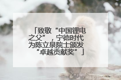 致敬“中国锂电之父”，宁德时代为陈立泉院士颁发“卓越贡献奖”