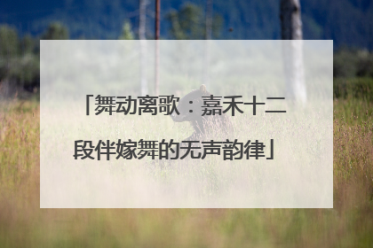 舞动离歌：嘉禾十二段伴嫁舞的无声韵律