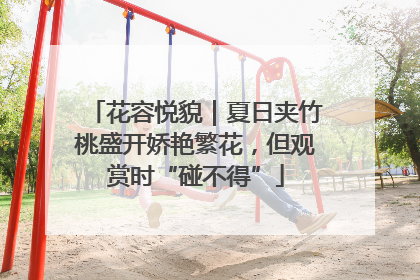花容悦貌｜夏日夹竹桃盛开娇艳繁花，但观赏时“碰不得”
