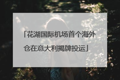 花湖国际机场首个海外仓在意大利揭牌投运