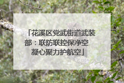 花溪区党武街道武装部：联防联控保净空 凝心聚力护航空