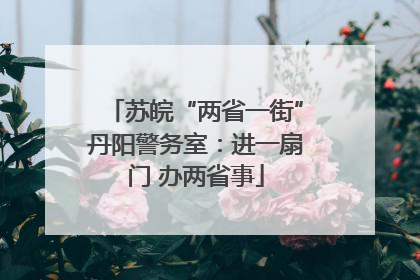 苏皖“两省一街”丹阳警务室：进一扇门 办两省事