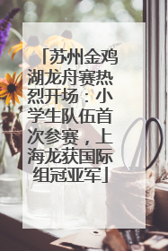 苏州金鸡湖龙舟赛热烈开场：小学生队伍首次参赛，上海龙获国际组冠亚军