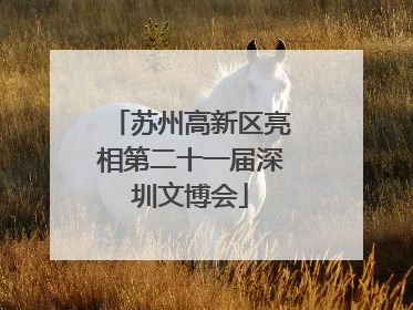 苏州高新区亮相第二十一届深圳文博会