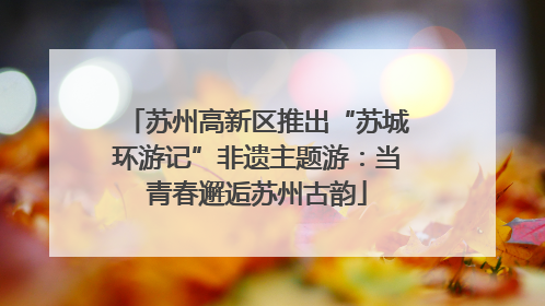 苏州高新区推出“苏城环游记”非遗主题游：当青春邂逅苏州古韵