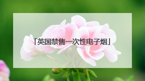 英国禁售一次性电子烟