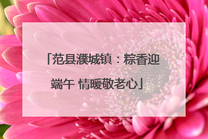范县濮城镇：粽香迎端午 情暖敬老心