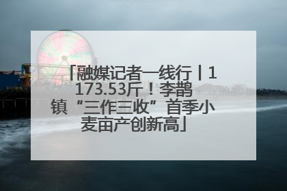 融媒记者一线行丨1173.53斤！李鹊镇“三作三收”首季小麦亩产创新高