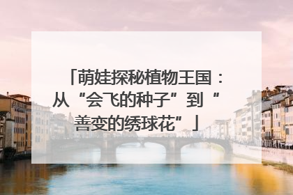 萌娃探秘植物王国：从“会飞的种子”到“善变的绣球花”