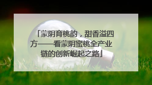 蒙阴育桃韵，甜香溢四方——看蒙阴蜜桃全产业链的创新崛起之路