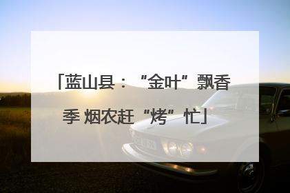 蓝山县：“金叶”飘香季 烟农赶“烤”忙