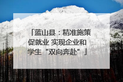蓝山县：精准施策促就业 实现企业和学生“双向奔赴”
