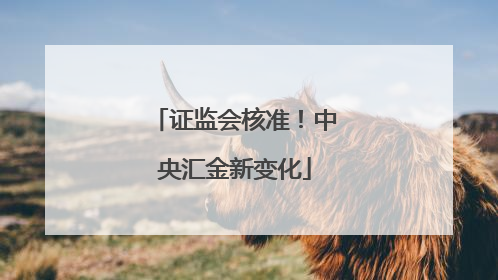 证监会核准！中央汇金新变化