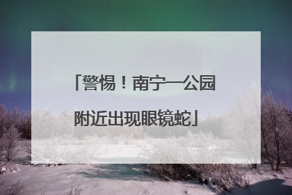 警惕！南宁一公园附近出现眼镜蛇