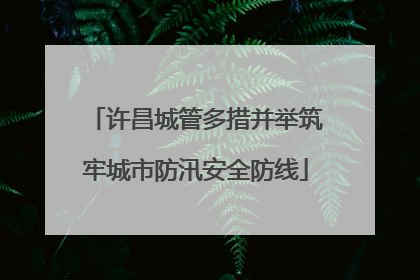 许昌城管多措并举筑牢城市防汛安全防线