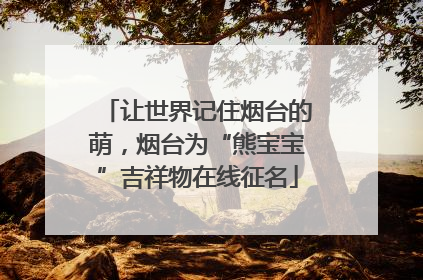 让世界记住烟台的萌，烟台为“熊宝宝”吉祥物在线征名
