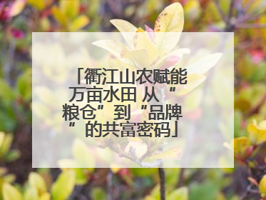 衢江山农赋能万亩水田 从“粮仓”到“品牌”的共富密码