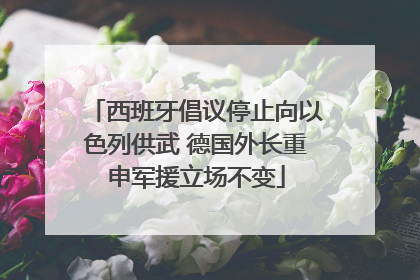 西班牙倡议停止向以色列供武 德国外长重申军援立场不变
