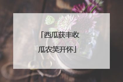 西瓜获丰收 瓜农笑开怀