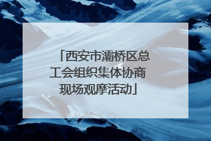 西安市灞桥区总工会组织集体协商现场观摩活动