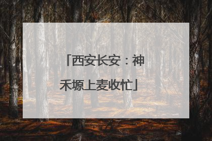 西安长安：神禾塬上麦收忙