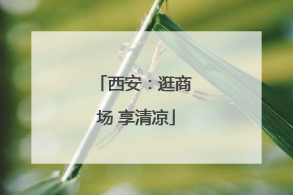 西安：逛商场 享清凉