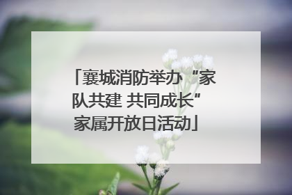襄城消防举办“家队共建 共同成长”家属开放日活动