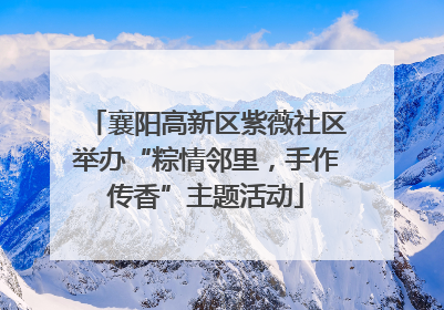 襄阳高新区紫薇社区举办“粽情邻里，手作传香”主题活动