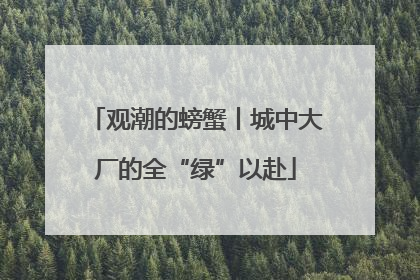 观潮的螃蟹丨城中大厂的全“绿”以赴