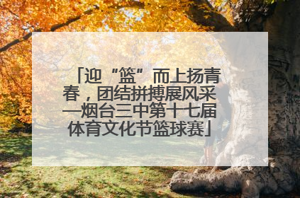 迎“篮”而上扬青春，团结拼搏展风采—烟台三中第十七届体育文化节篮球赛