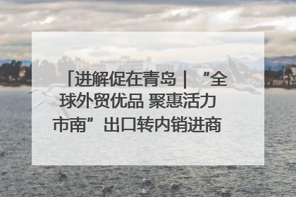 进解促在青岛｜“全球外贸优品 聚惠活力市南”出口转内销进商超专场活动启动