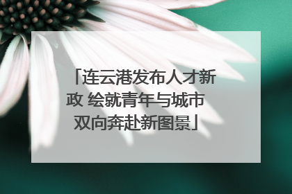 连云港发布人才新政 绘就青年与城市双向奔赴新图景