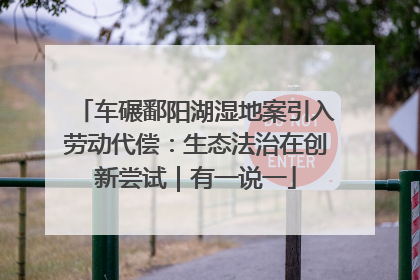 车碾鄱阳湖湿地案引入劳动代偿：生态法治在创新尝试｜有一说一